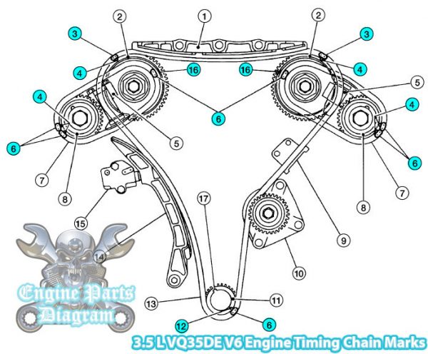2002-2020 Nissan Maxima Timing Marks Diagram (3.5 L VQ35DE Engine)