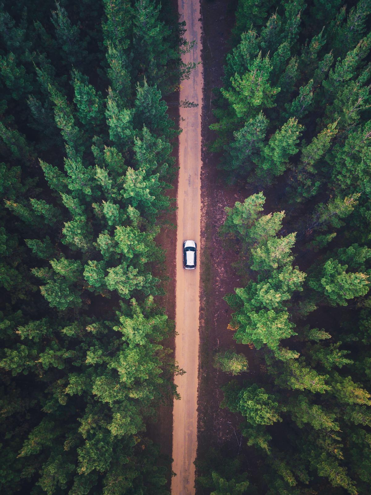 Image of the 2020 Toyota 4Runner, a rugged and powerful off-road vehicle